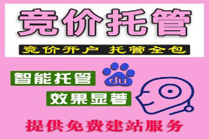 案例研究：SEM竞价托管效果对比